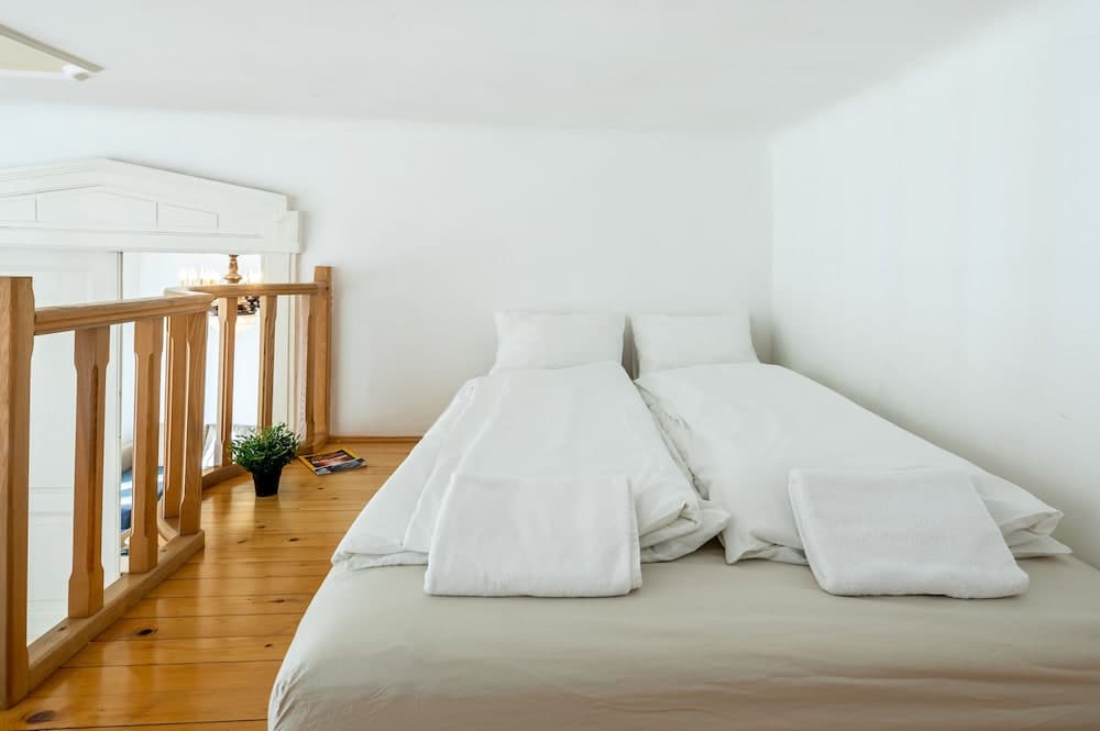 Huge Apartment in the city center