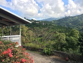 Neita's Nest - Jamaican Bed & Breakfast