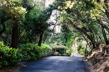 Meadowood Napa Valley