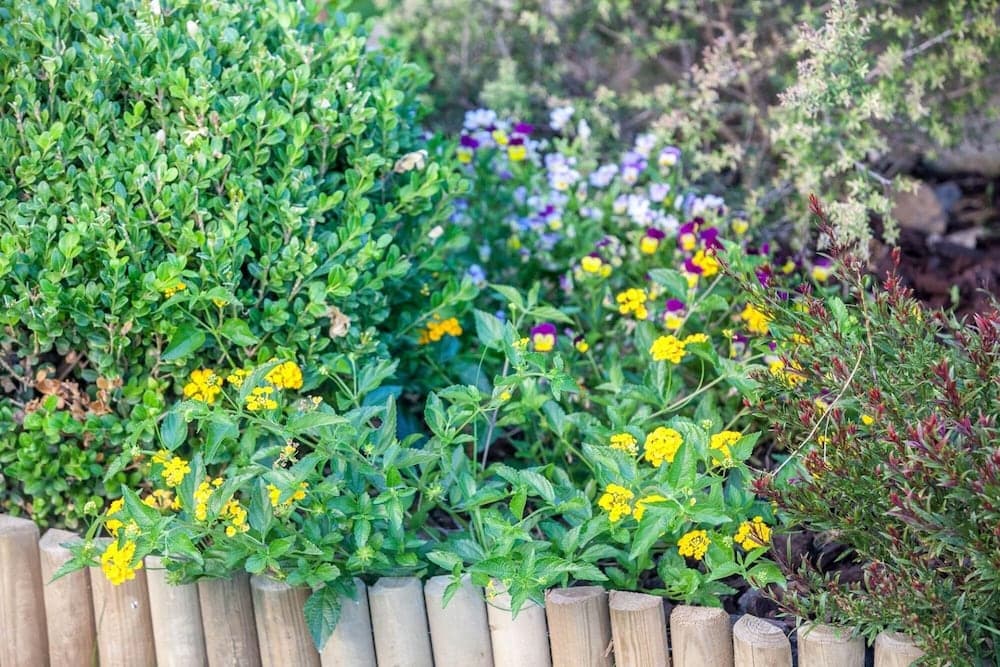 Marina Mare Villa Chania Villa Marina Mare