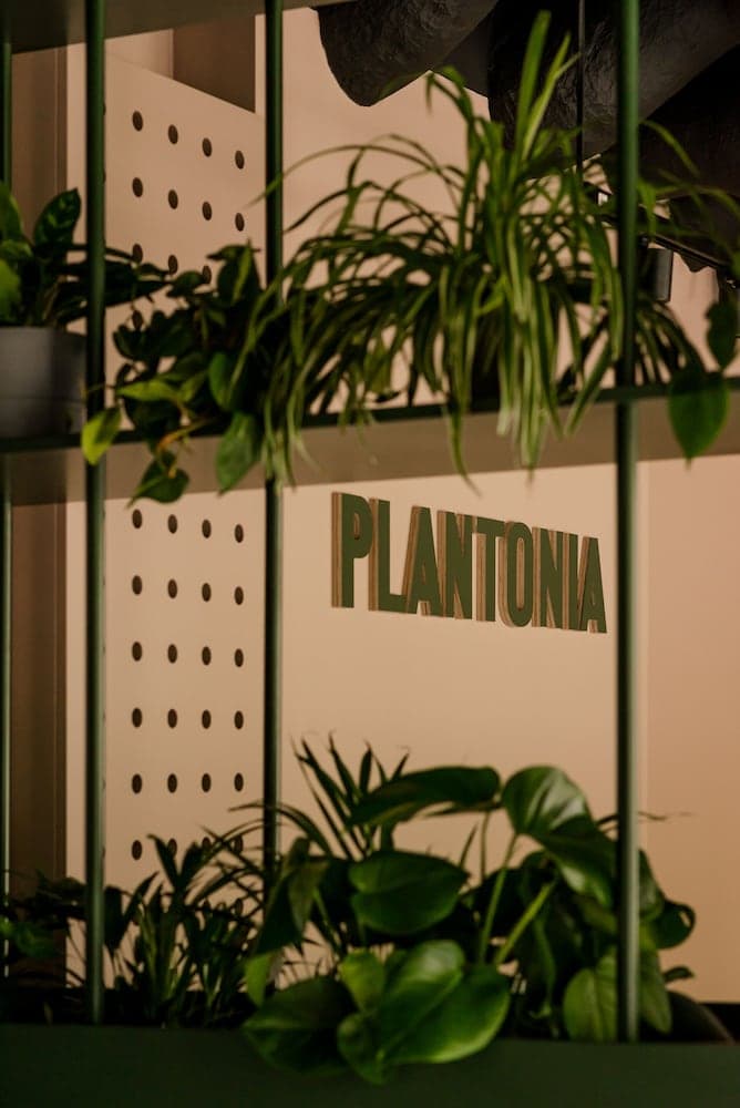 Plantonia