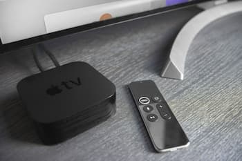 The Grant by Black Swan