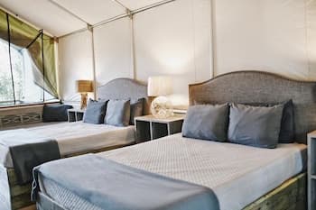 20 Son's Rio Cibolo - Birdhouse Cabin