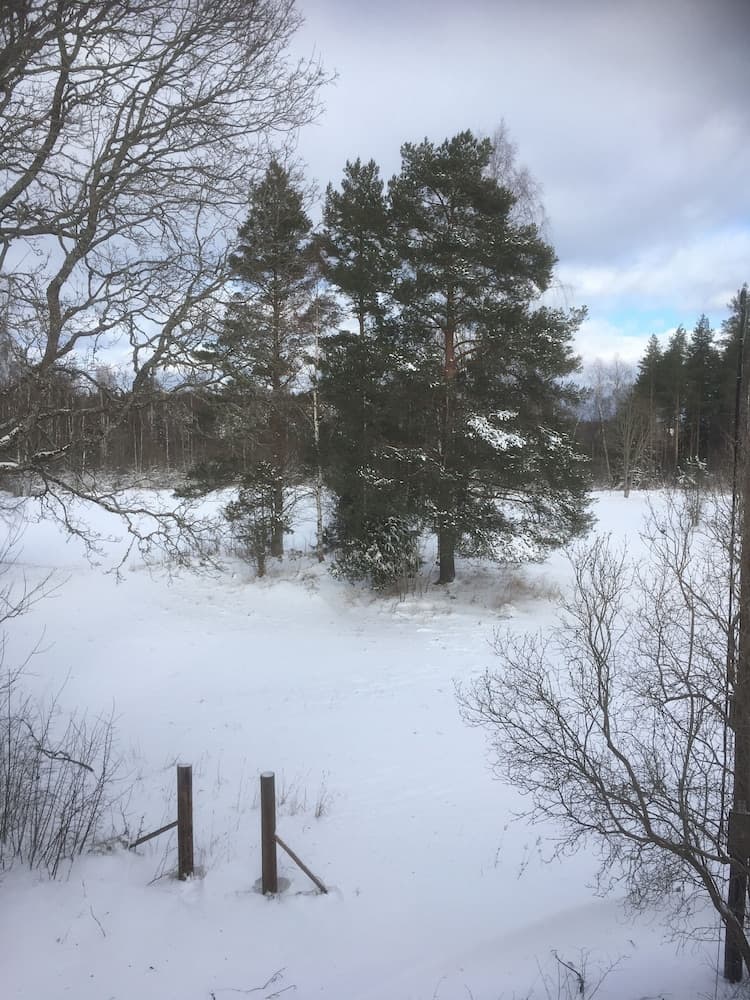 Amazing Country House Forest and Ocean Near