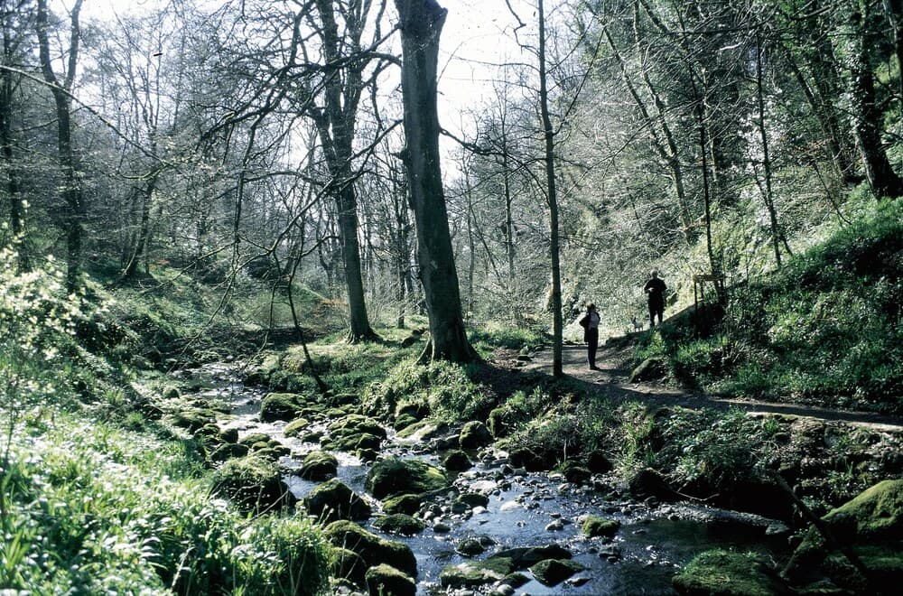 Charming Yurt in Kelburn Estate Near Largs