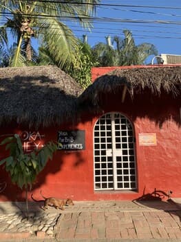 Okahey Sayulita Nayarit