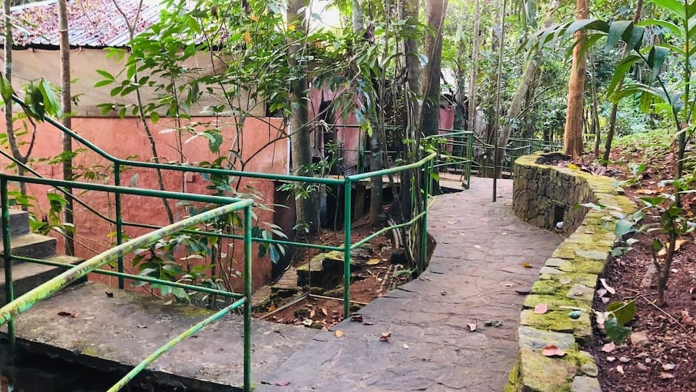 Ceylon Nature Hostel Kitulgala