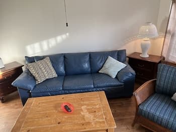 Sandy Mutts At The Beach 1 Bedroom Cottage by Redawning