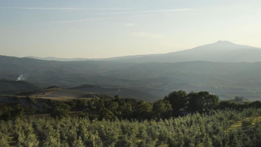 Case Belle Beautiful Villa in the Heart of the Val d Orcia With 12 Sleeping Accommodations-case Belle