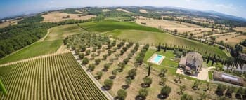 Luxury Villa With spa in Val d Orcia-villa LE Buche