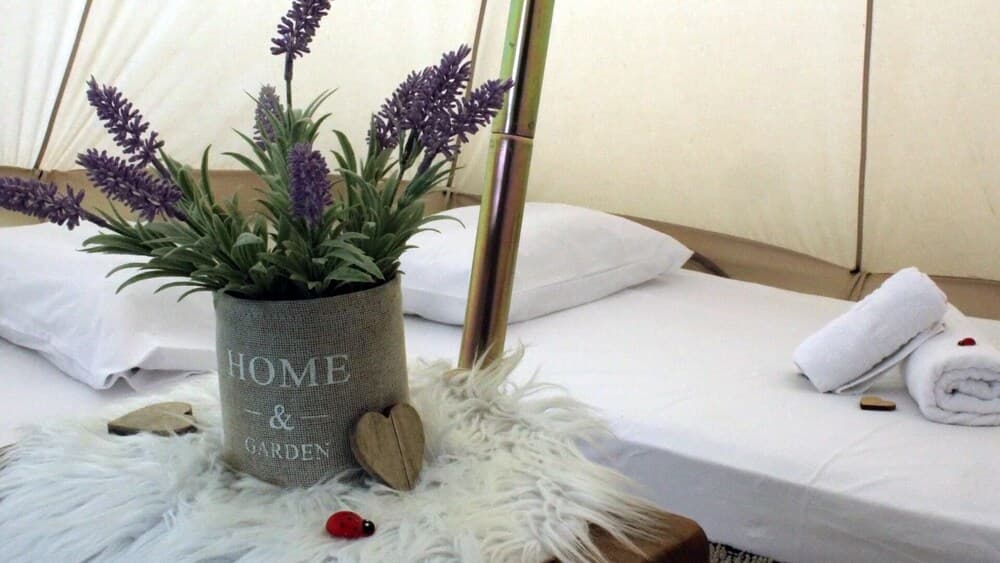 Queens Luxury Glamping