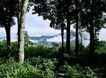 Mountain Getaway on 12 Acres w/ Sunroom & Views!