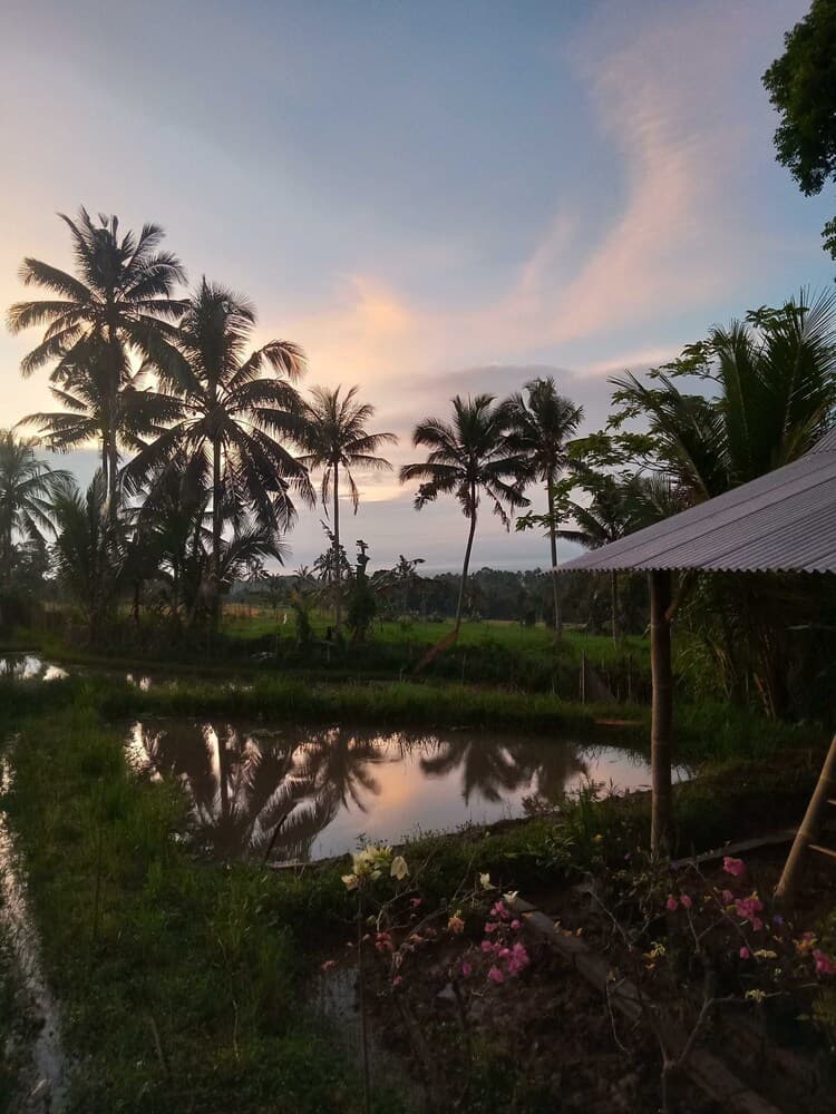 EXPRESS O 91901 Homestay Irish Irish