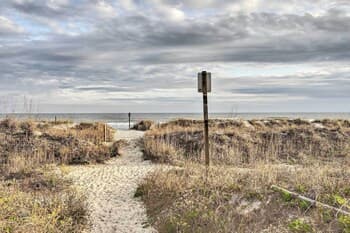 The Bird House: Lush Bungalow, Steps From Ocean!