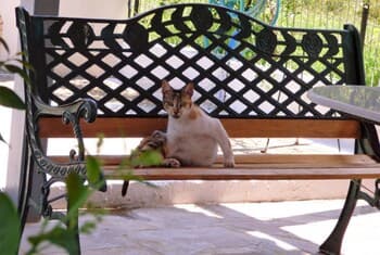 Venetia s Seaside Garden Home