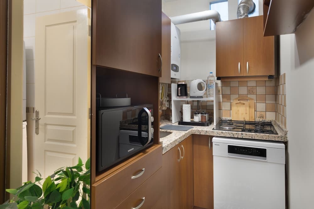 Gorgeous Central 1BR Apt near Galataport