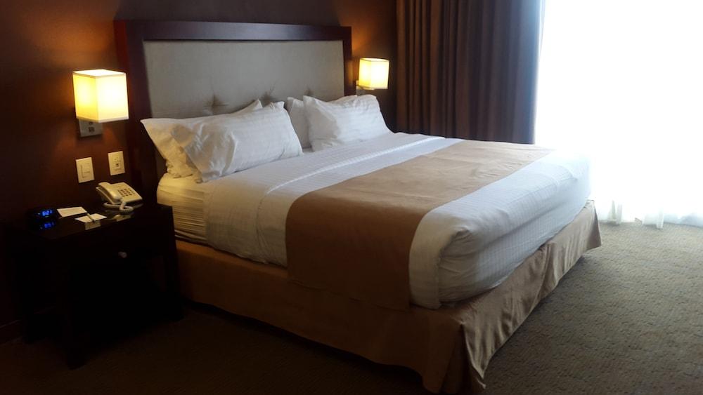 Holiday Inn Leon by IHG