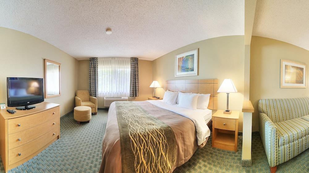 Comfort Inn Morris I-80
