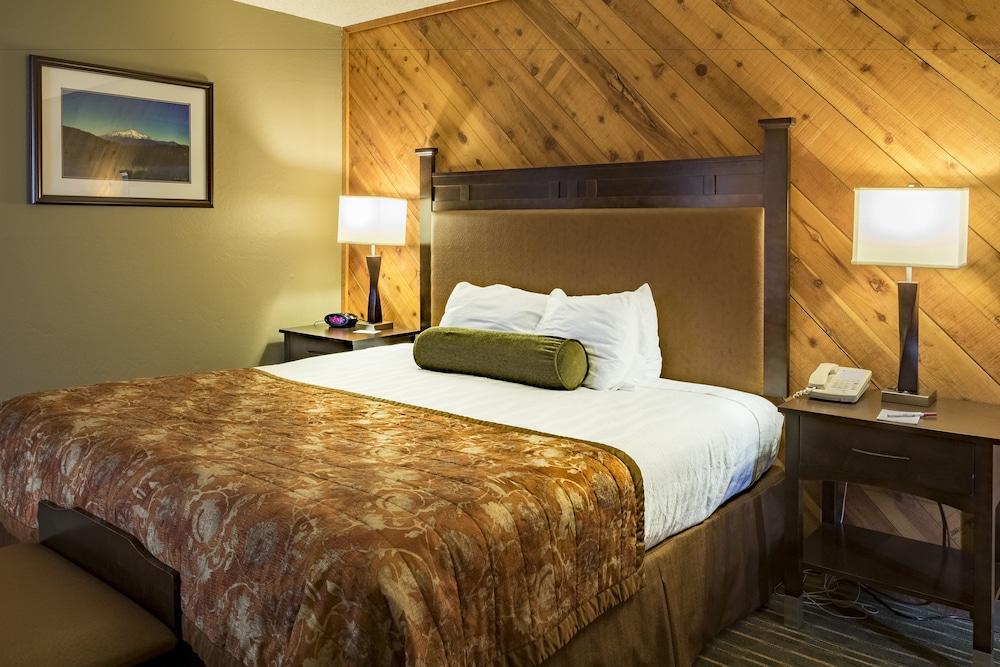 Best Western Plus Tree House