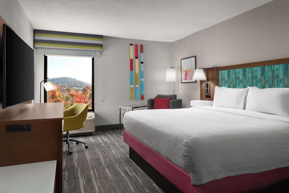 Hampton Inn Roanoke/Hollins - I-81