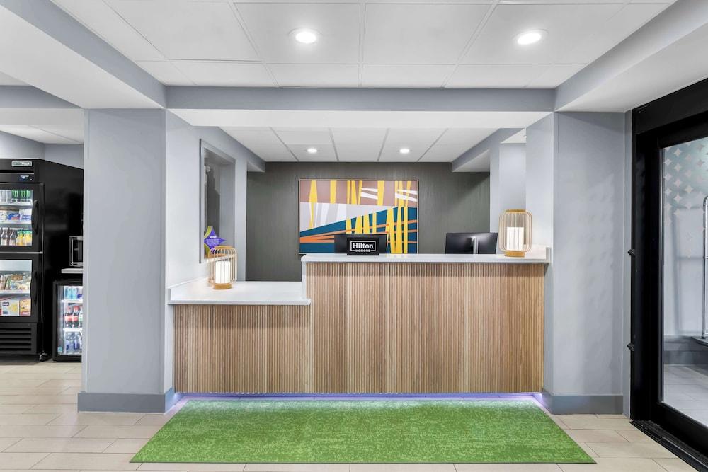 Spark by Hilton Calhoun