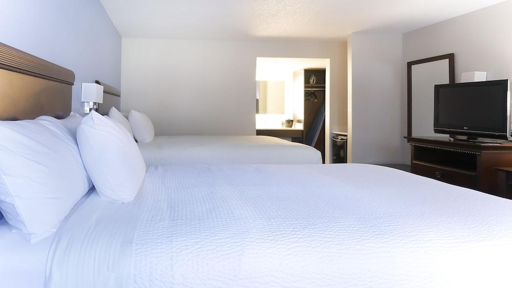 Hotel South Tampa & Suites