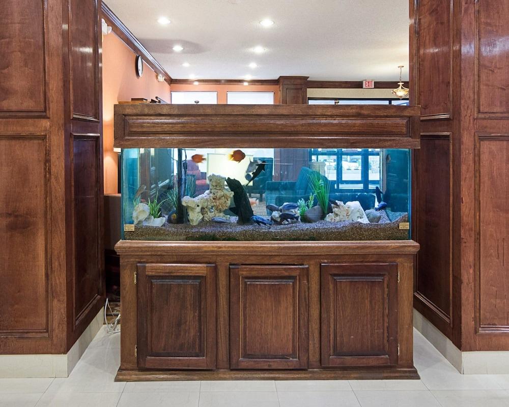 Comfort Inn & Suites Houston Key-Katy