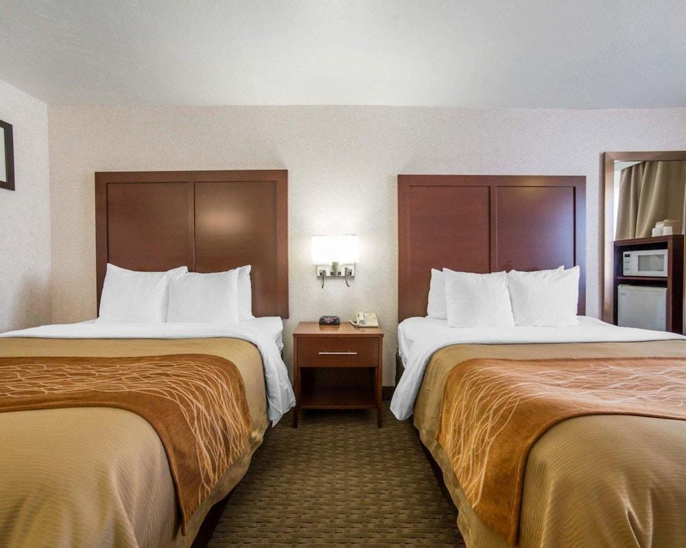 Comfort Inn Elko
