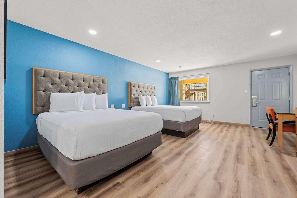 Econo Lodge Inn & Suites Sealy