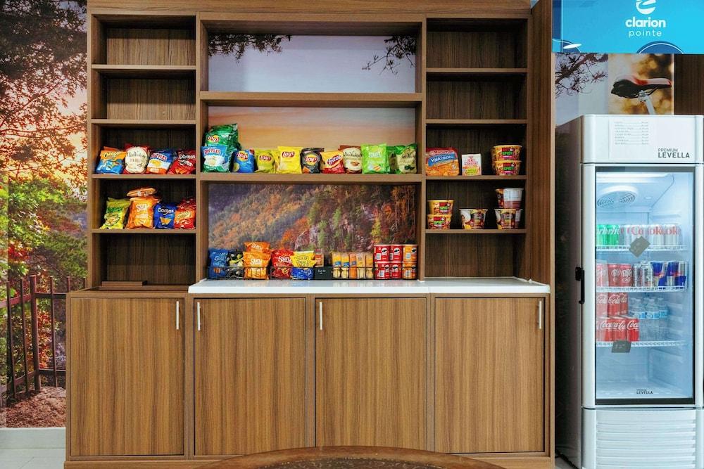 Clarion Pointe-Dillard near Blue Ridge Mountains