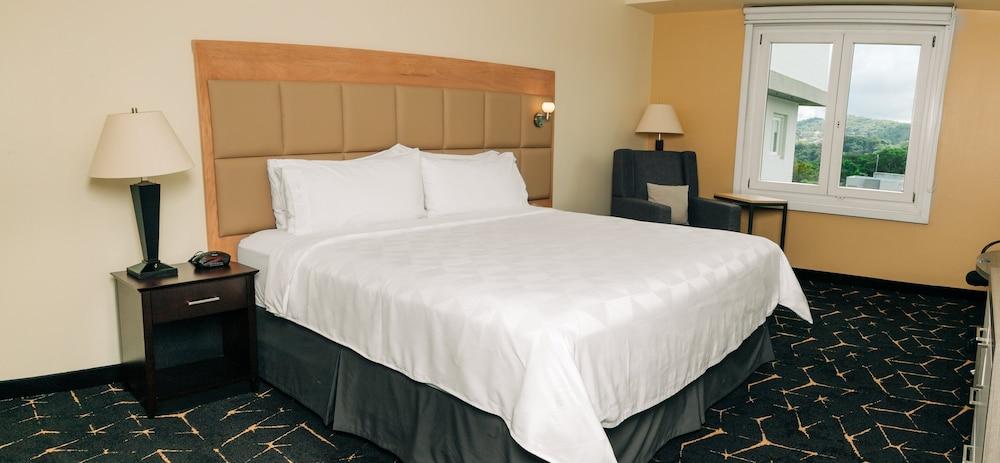 Holiday Inn San Salvador by IHG