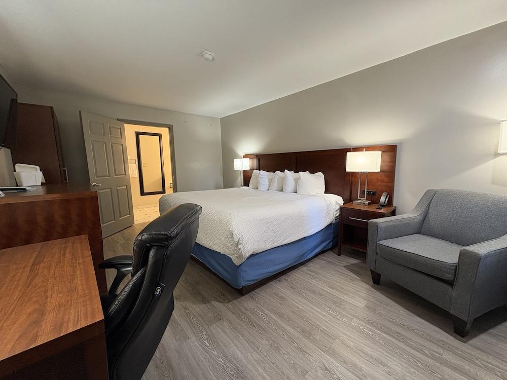 OYO Hampton South Carolina Hwy 278