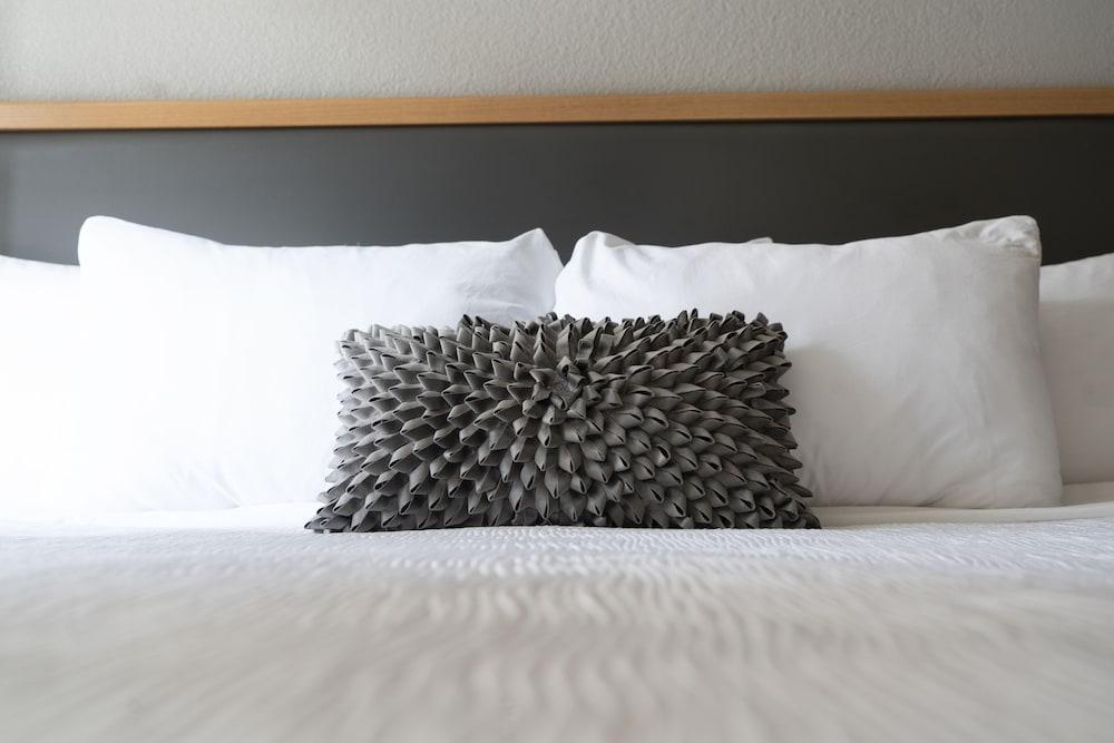 Hotel Saint Clair- Magnificent Mile