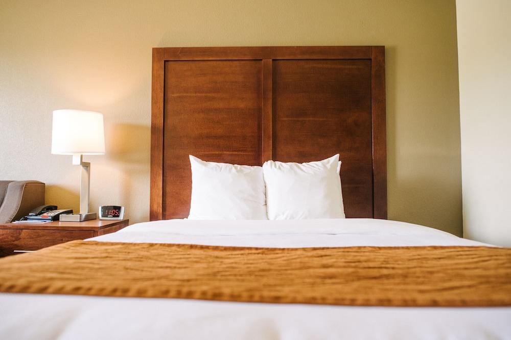 Comfort Inn & Suites Custer - Crazy Horse Area