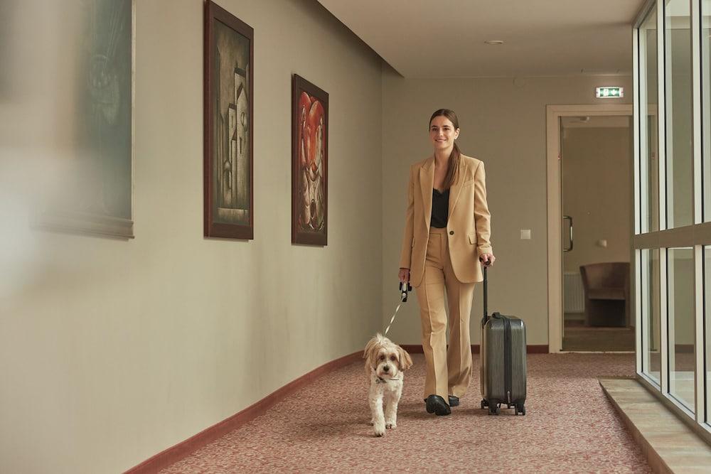 Ratonda Centrum Hotels