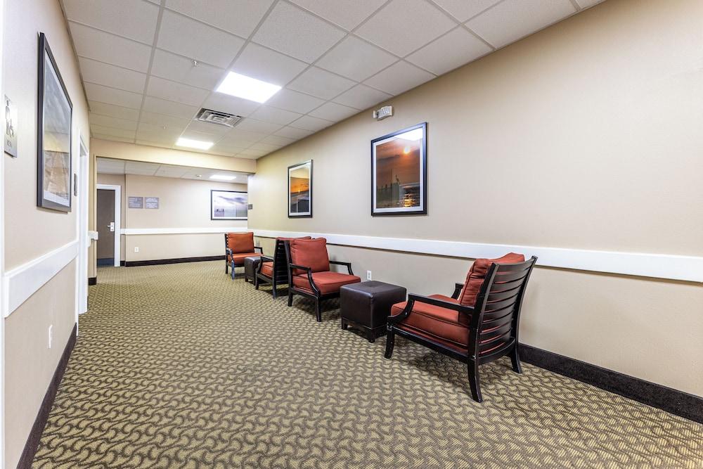 Comfort Suites Lake Jackson Clute