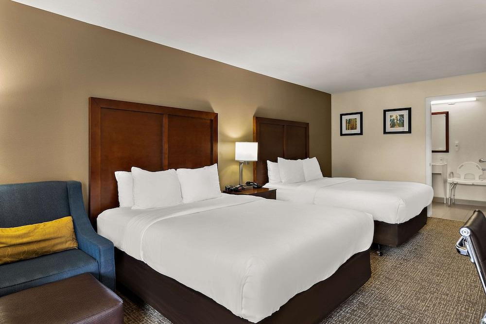 Comfort Inn & Suites Sequoia/Kings Canyon