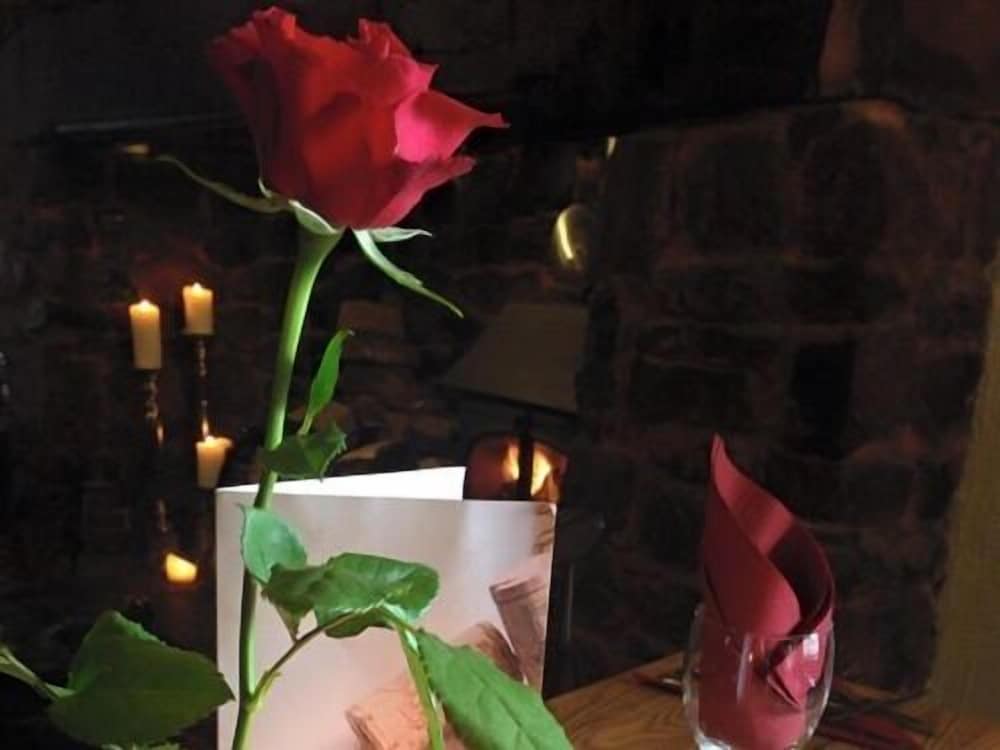 Greyhound Country Inn