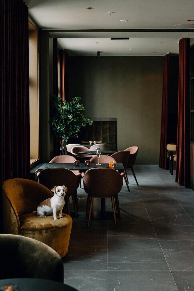 Saga Hotel Oslo, WorldHotels Crafted