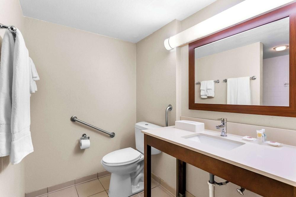 Comfort Inn Red Horse Frederick