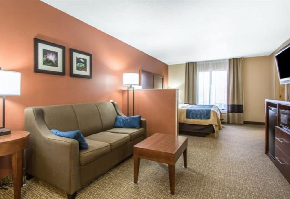 Comfort Inn Livingston