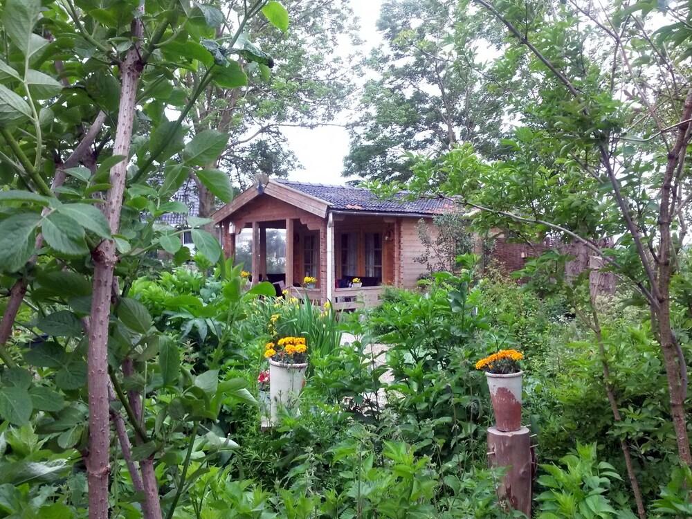 Bed and Breakfast De Pauw