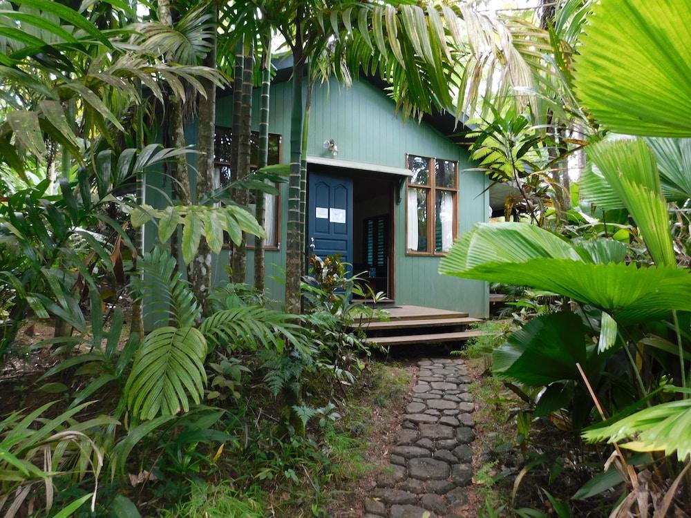 Rainforest Eco Lodge