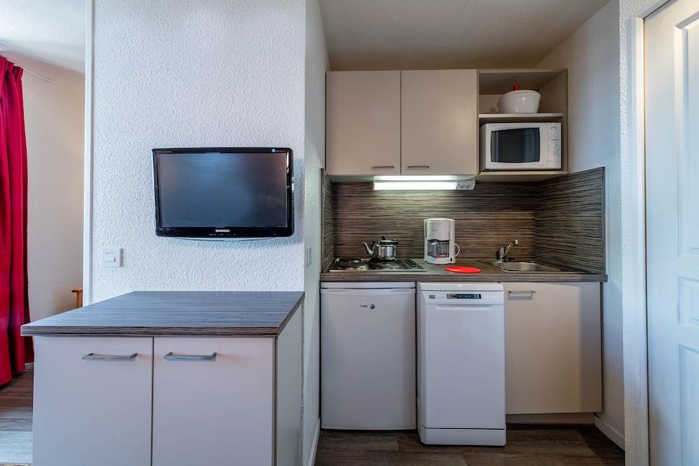 Noemys Castor & Pollux