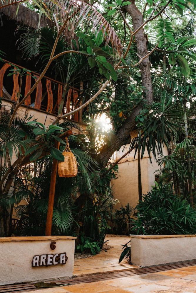 Hurricane Jeri Praia