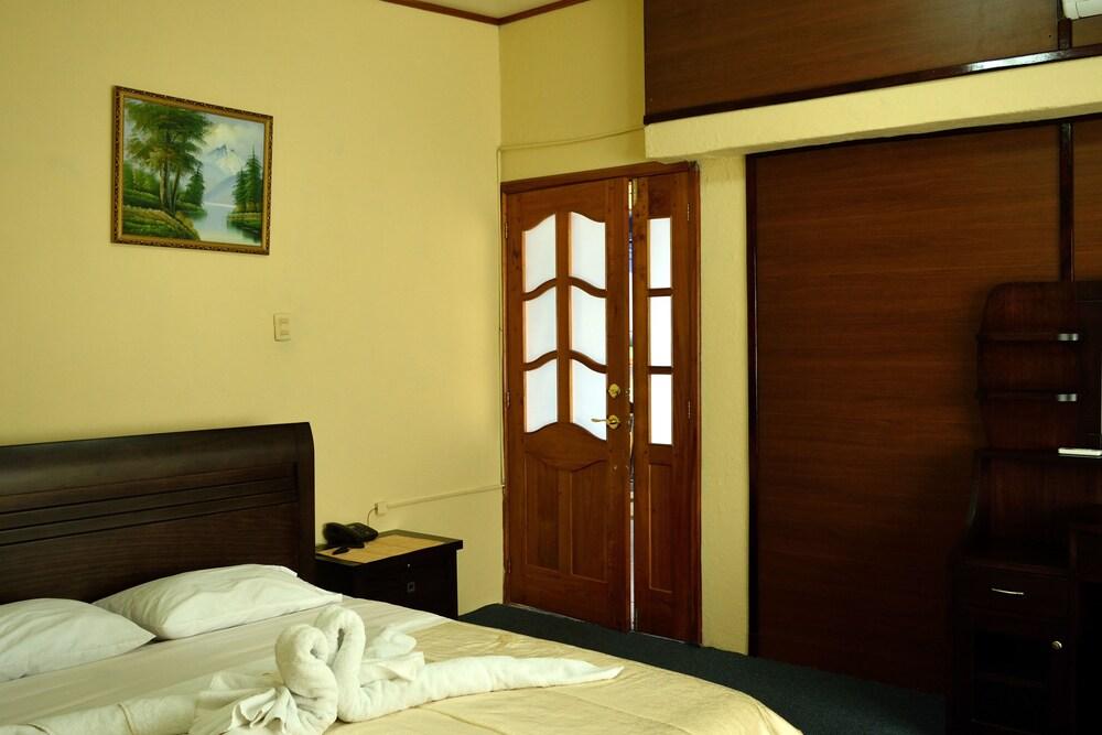 Flightless Cormorant