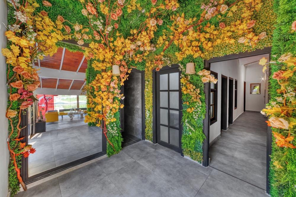 Illusion Beach Club Hotel +16 Only Adult