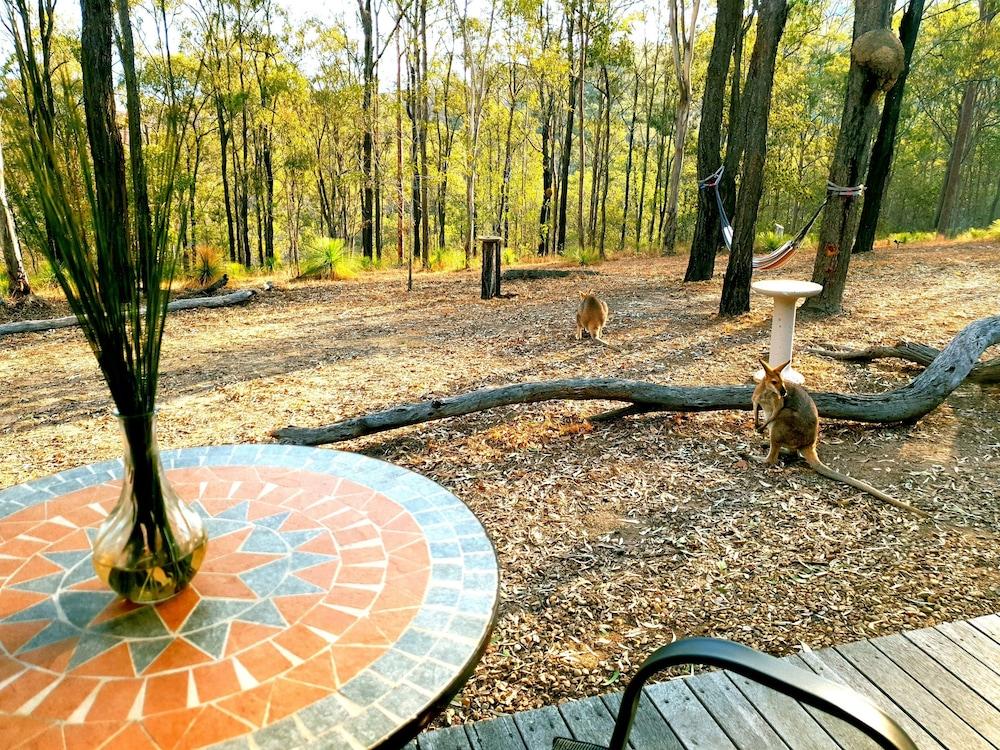 Ketchup's Bank Glamping