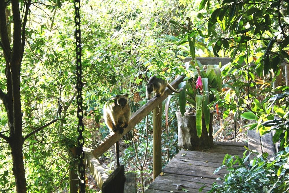 Mt Quincan Crater Retreat