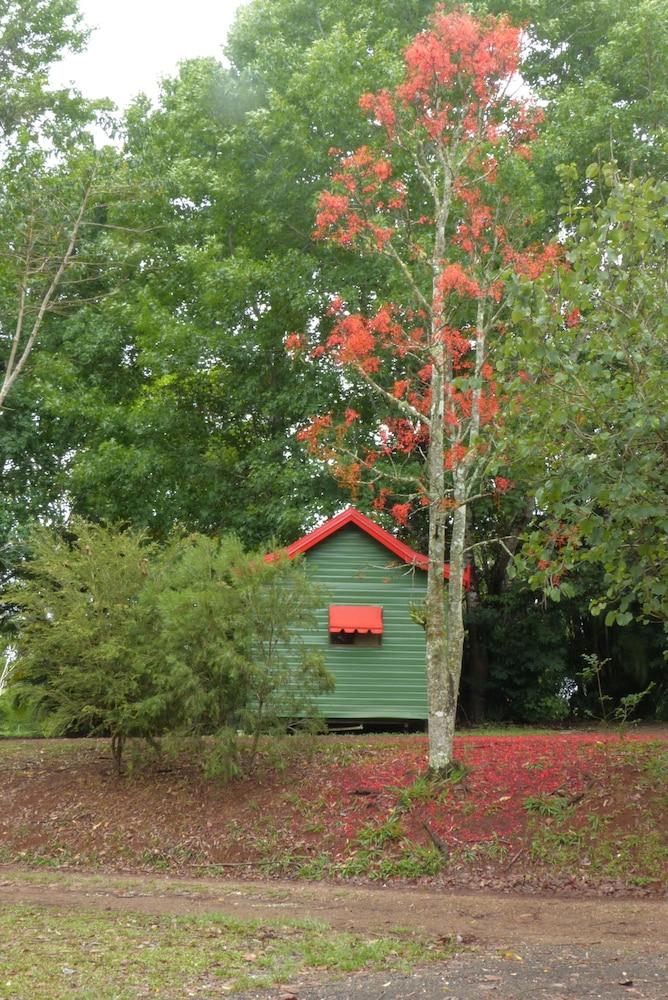 Lake Eacham Tourist Park & Self Contained Cabins